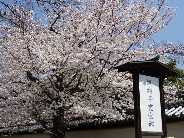 b0299042_11304620.jpg