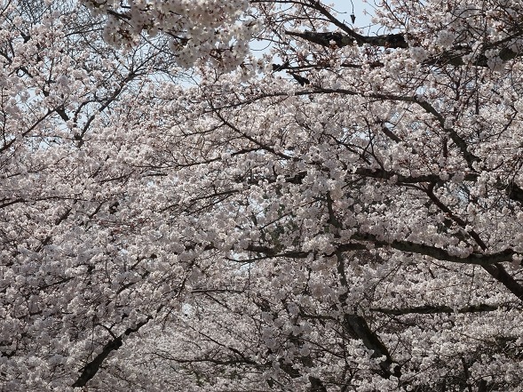 b0299042_11305110.jpg