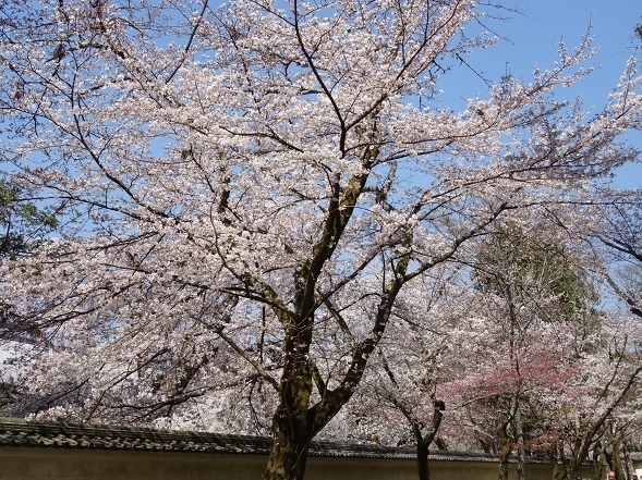 b0299042_11311199.jpg