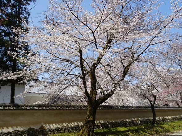 b0299042_11311870.jpg