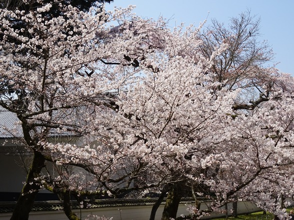 b0299042_11312615.jpg
