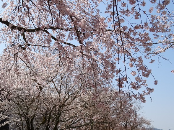 b0299042_11313300.jpg