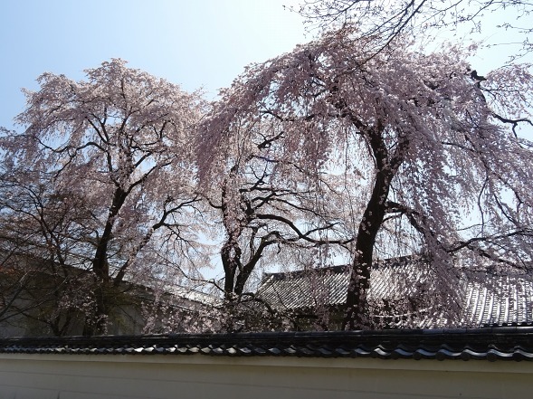 b0299042_11314239.jpg