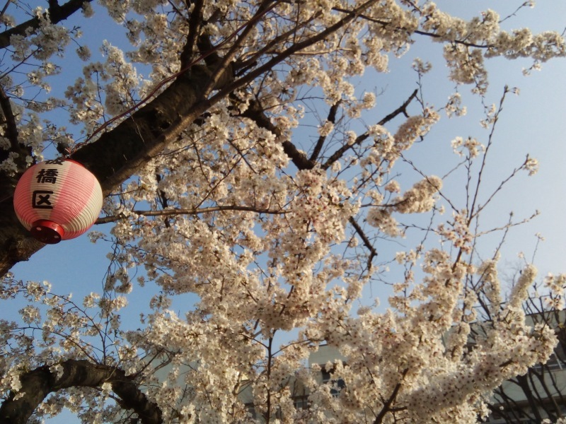 f0130642_22514933.jpeg
