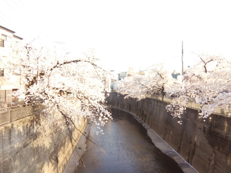 f0130642_22522322.jpeg