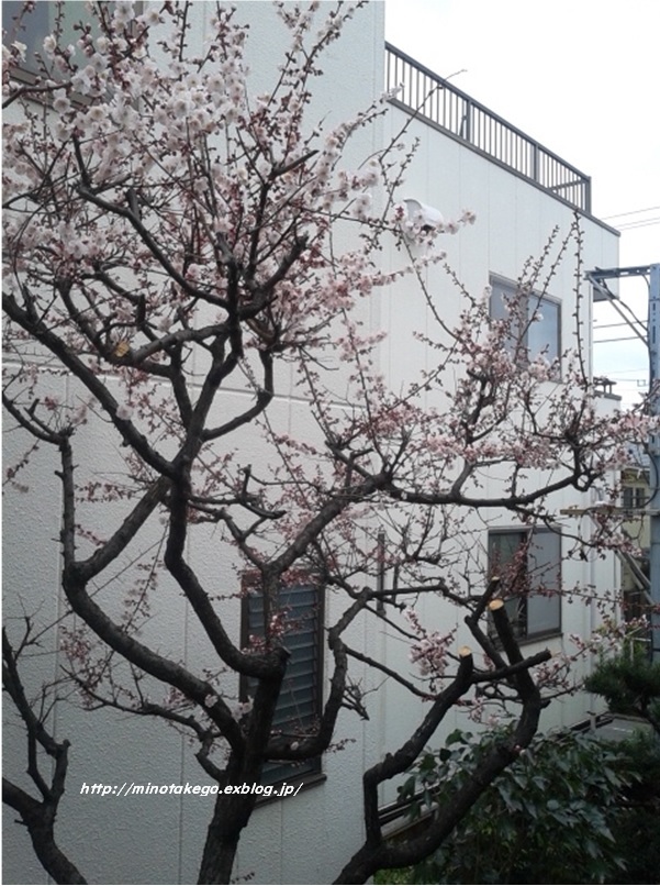 中古住宅 残すものの判断は慎重に_e0343145_22570562.jpg