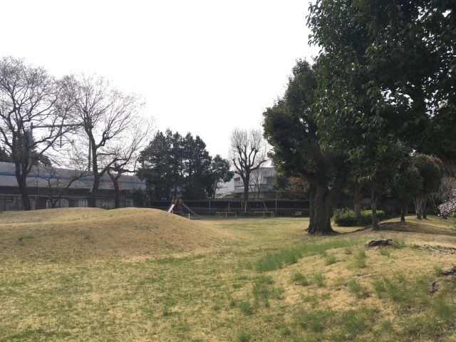 a0220446_17360488.jpeg