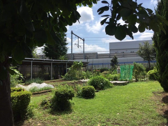 a0220446_17533419.jpeg