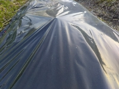 c0330749_06402841.jpg