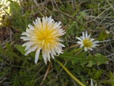 c0330749_21021600.jpg