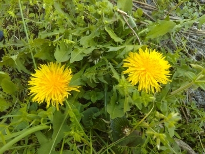c0330749_21021789.jpg