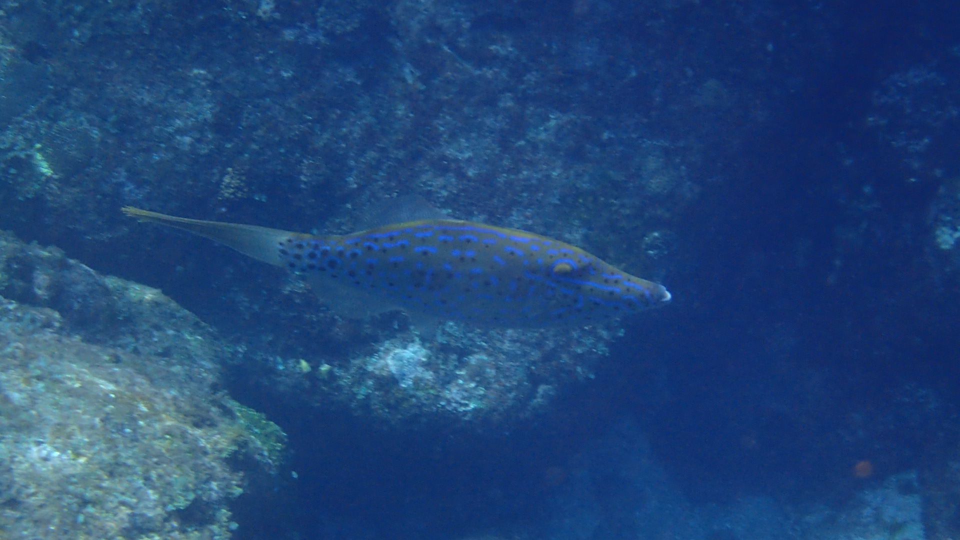 b0160957_16425999.jpg
