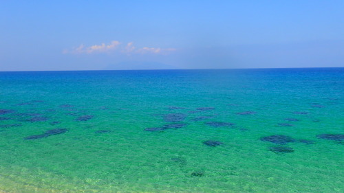 b0160957_16440807.jpg
