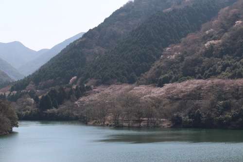 b0246758_20412290.jpg