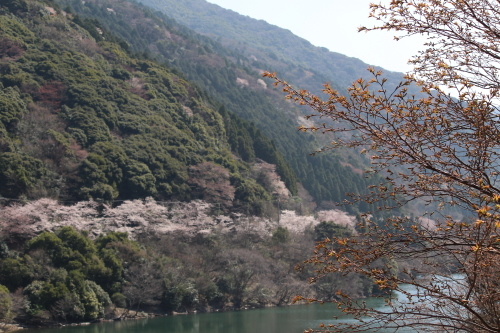 b0246758_20472935.jpg