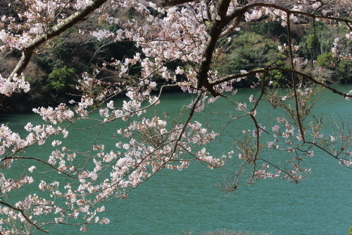 b0246758_21005019.jpg