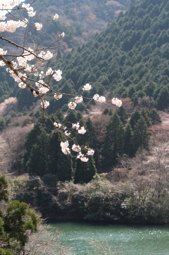 b0246758_21021419.jpg