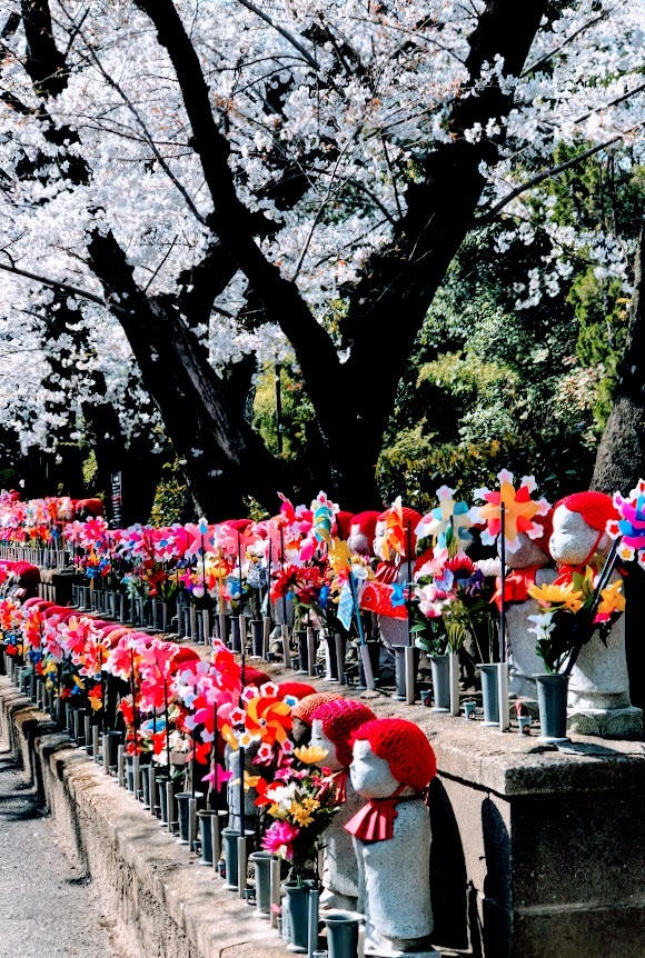 お寺と桜と東京タワーと_e0256058_11433235.jpg