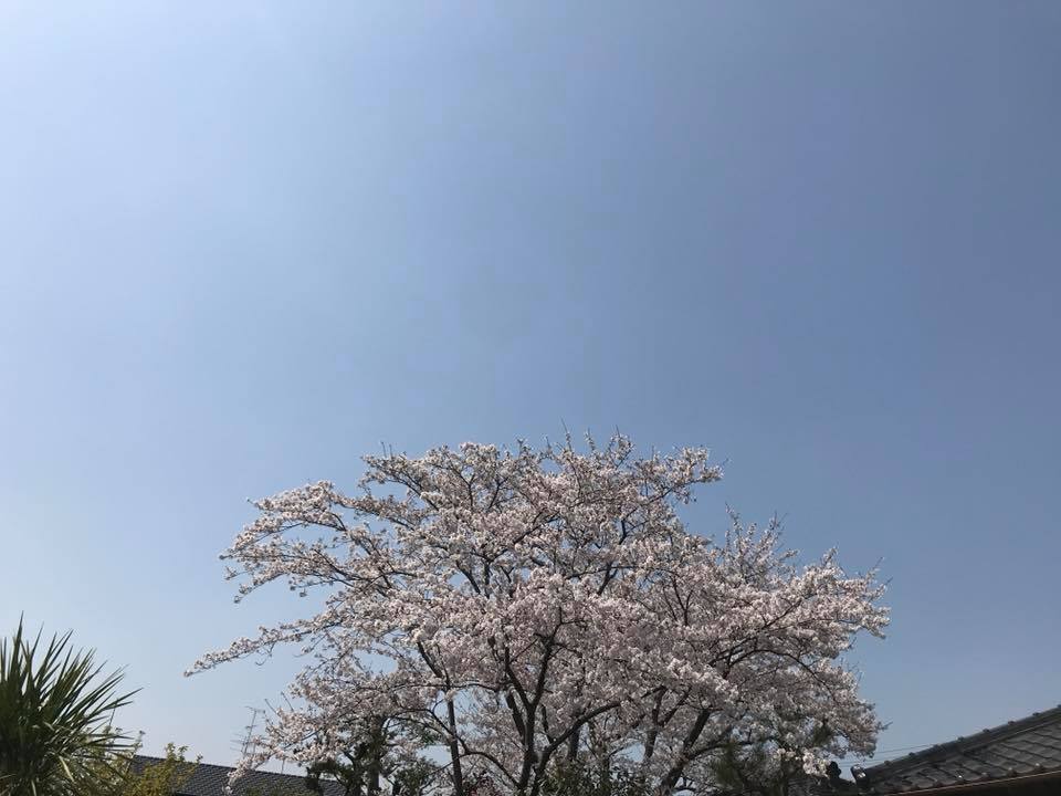 c0115560_19310227.jpg