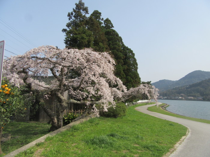 f0113862_19205404.jpg