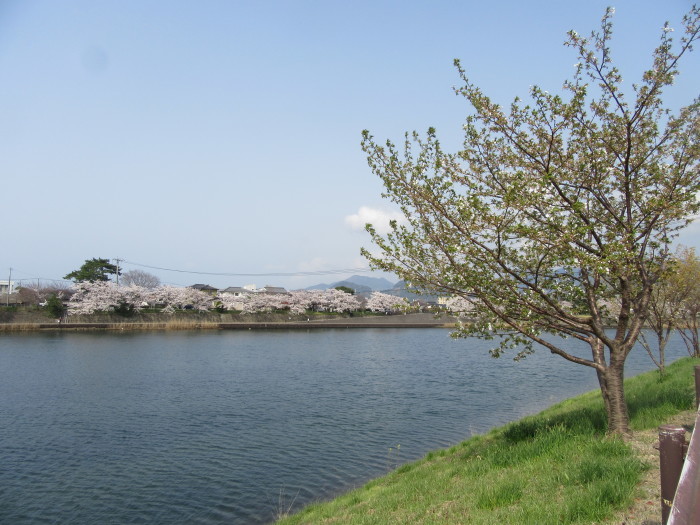 f0113862_19231887.jpg