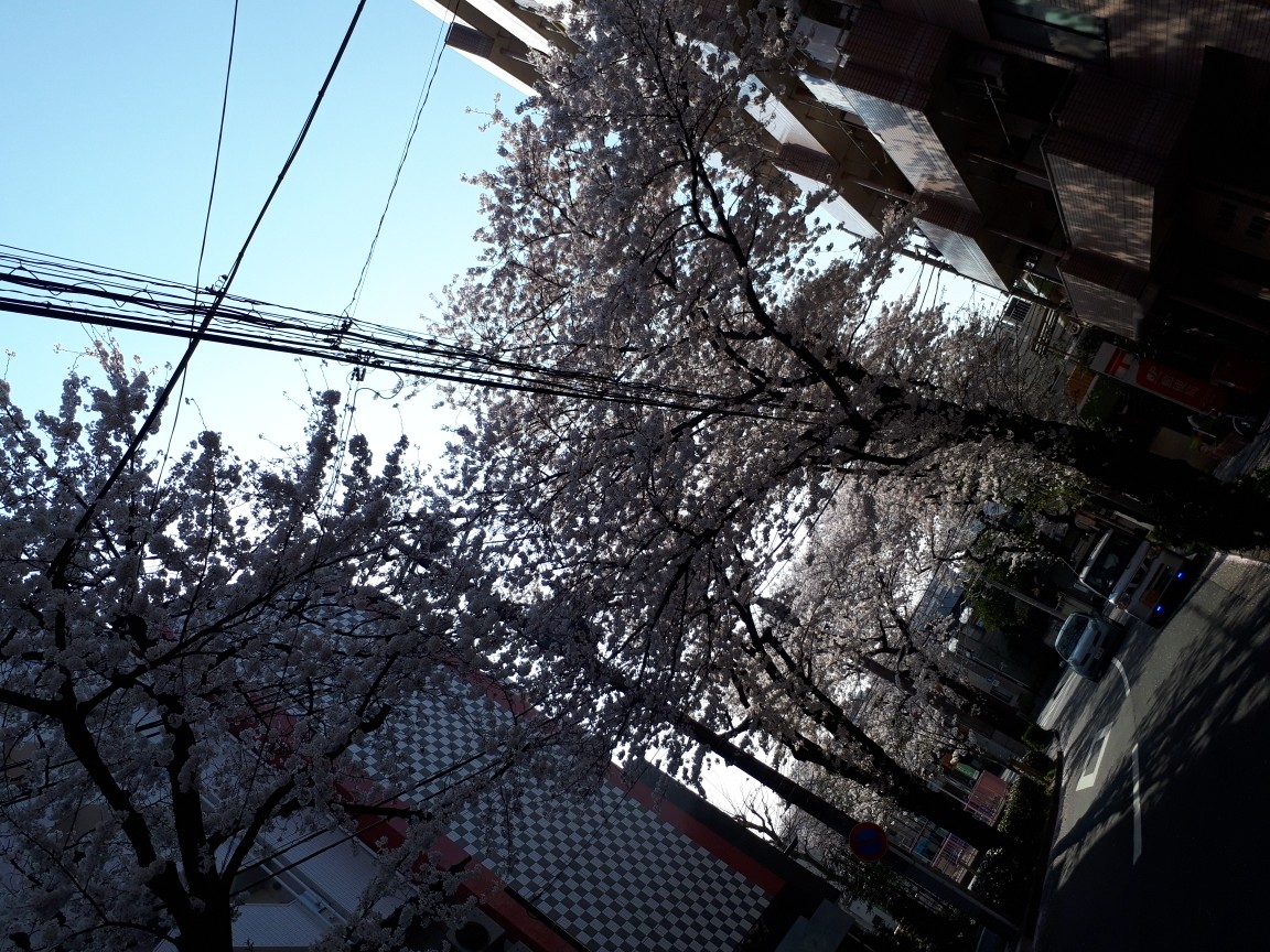 f0193762_135347.jpg