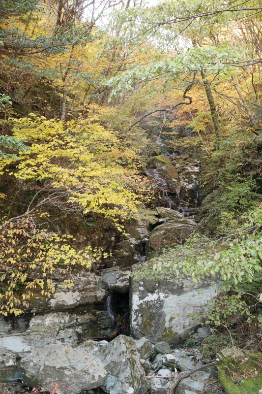  UFOライン[正式名称：町道瓶ヶ森線]へ その1_a0077663_07245953.jpg