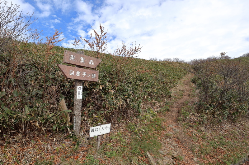 UFOライン[正式名称：町道瓶ヶ森線]へ その2_a0077663_07415781.jpg