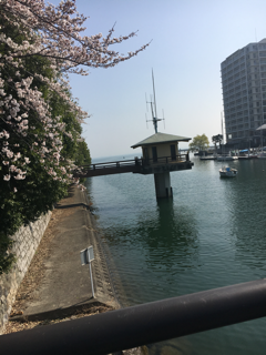 琵琶湖疎水を歩く_f0363168_05212748.png