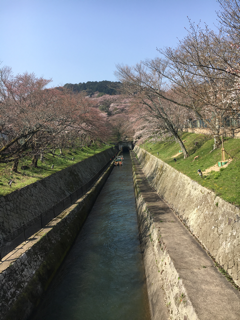 f0363168_05223774.png