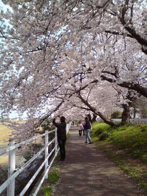 f0150669_14561009.jpg