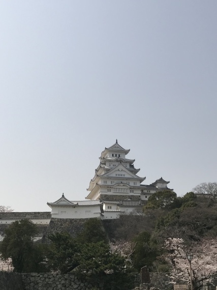 b0137175_18032337.jpeg