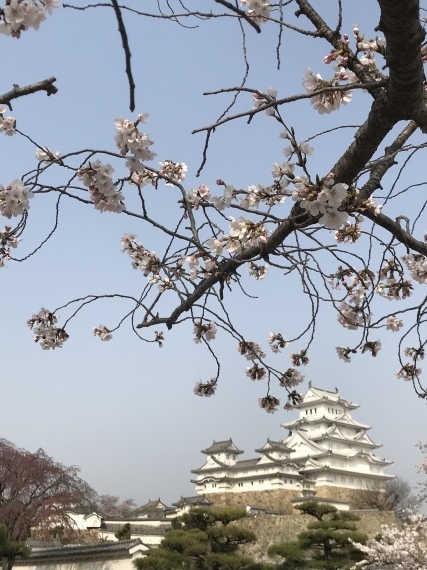 b0137175_18071123.jpeg