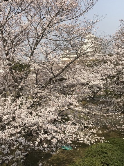 b0137175_18132582.jpeg
