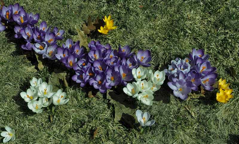 c0183777_17151634.jpg