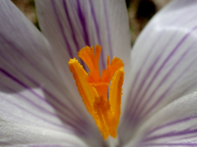 c0183777_17165969.jpg