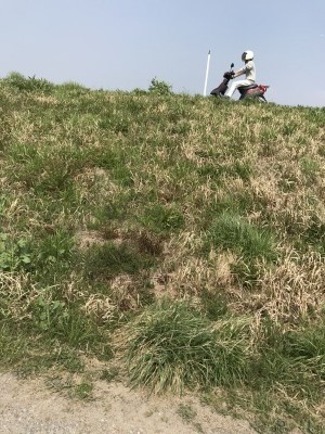 e0036677_17523230.jpg