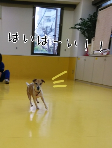 トレーニングブログ_f0357682_19565854.jpg