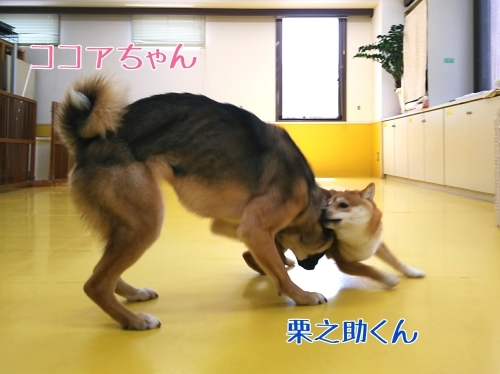 トレーニングブログ_f0357682_20123084.jpg