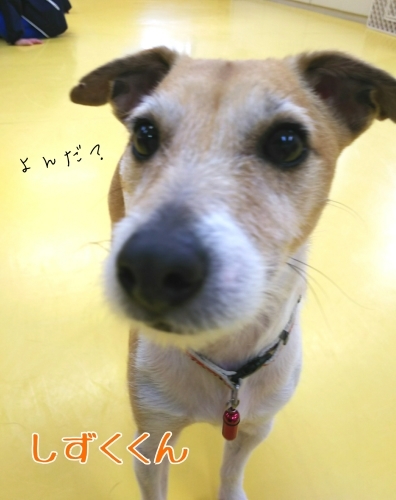トレーニングブログ_f0357682_20134424.jpg