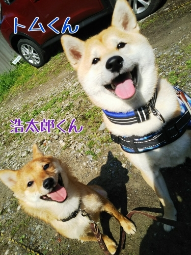 トレーニングブログ_f0357682_20143846.jpg