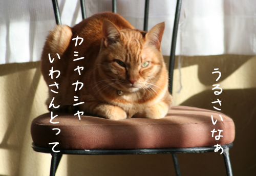 a0216583_15362153.png