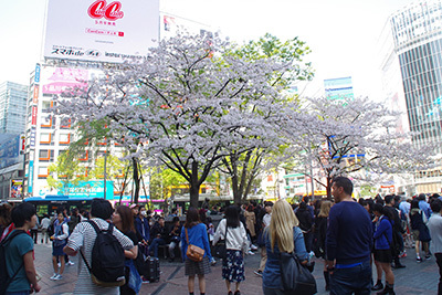 3月29日(木)の109前交差点_b0056983_13270765.jpg