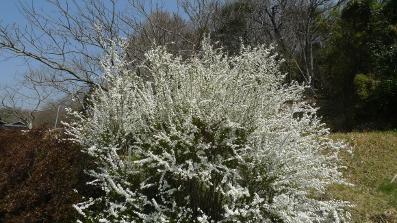 c0212083_21073315.jpg
