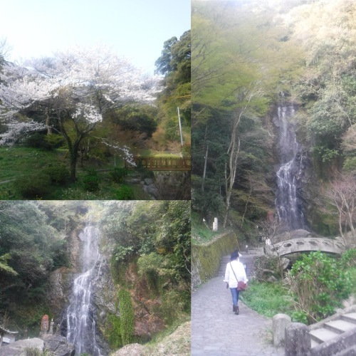 d0174683_22372481.jpeg