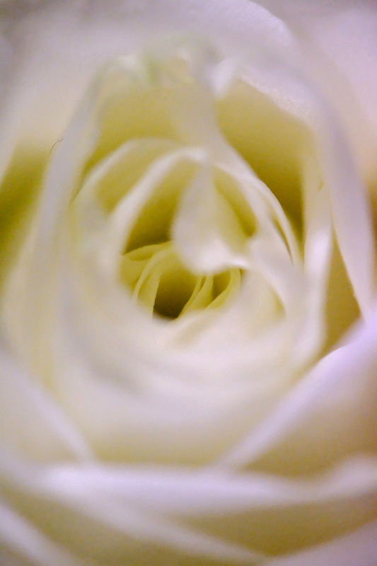 e0001086_21372268.jpg