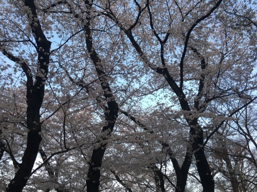 f0230689_20573870.jpeg