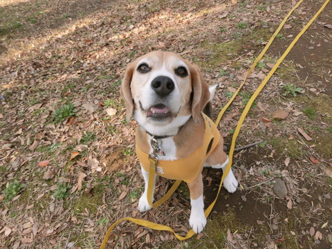 a0319693_80418.jpg