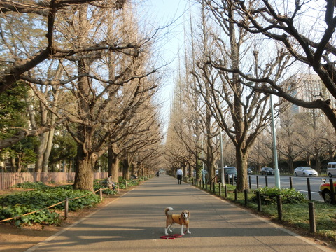 a0319693_87269.jpg