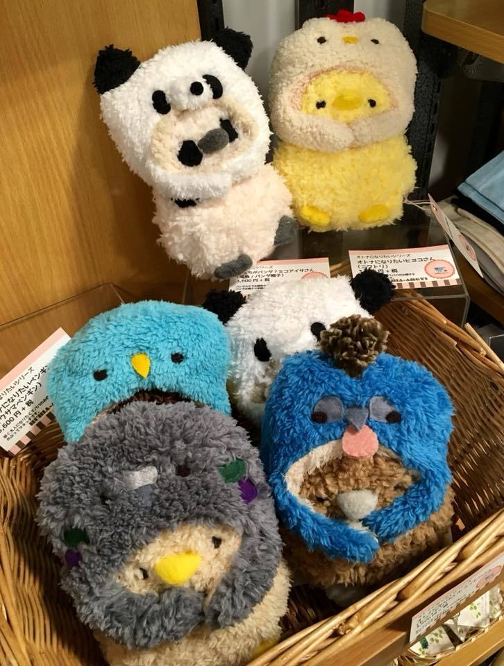 東急ハンズ京都店『出張 関西つうしん』始まりました!_d0322493_23151745.jpg